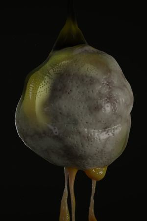 Soup Frog's poster