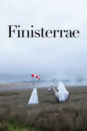 Finisterrae's poster