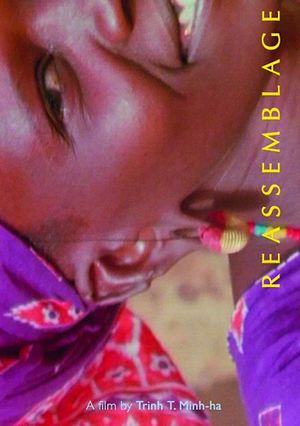 Reassemblage: From the Firelight to the Screen's poster