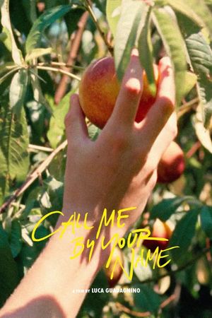 Call Me by Your Name's poster
