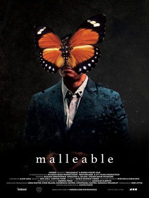 Malleable's poster
