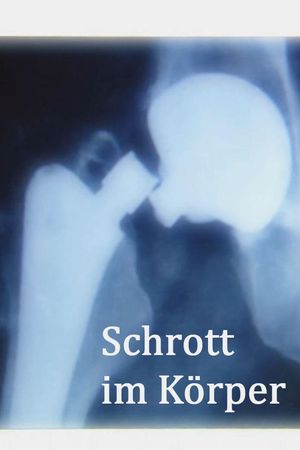 Schrott im Körper's poster