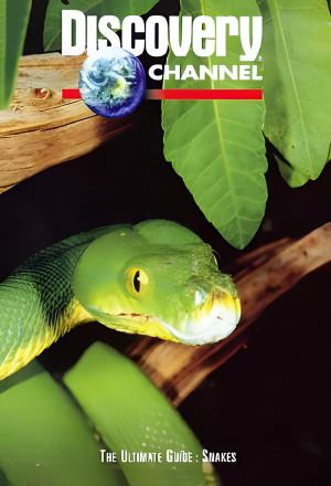 The Ultimate Guide: Snakes's poster
