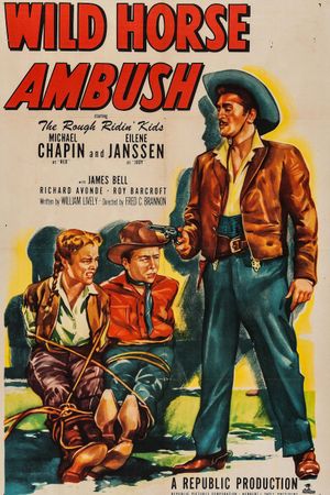 Wild Horse Ambush's poster