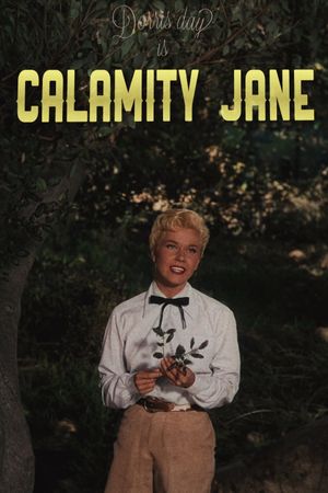 Calamity Jane's poster