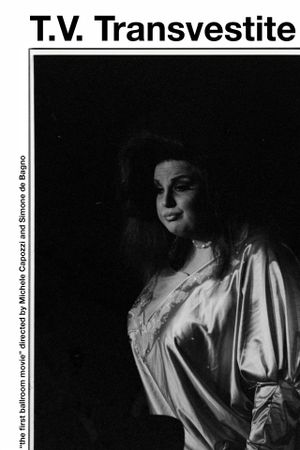 TV Transvestite's poster