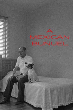 Un Buñuel mexican's poster