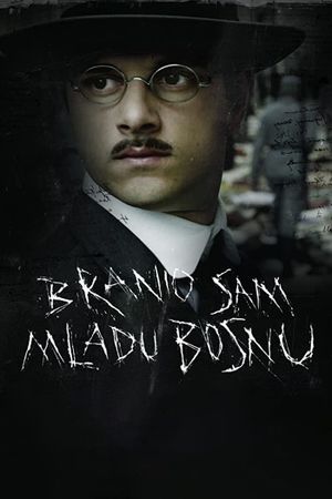 The Man Who Defended Gavrilo Princip's poster