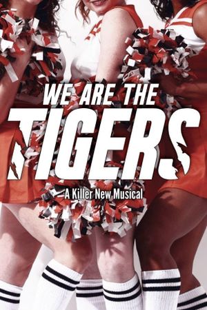 We Are The Tigers's poster image