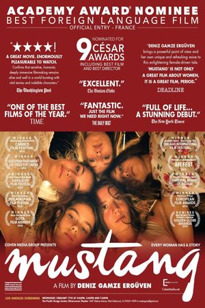 Mustang's poster