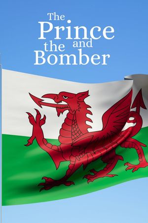 The Prince and the Bomber's poster image