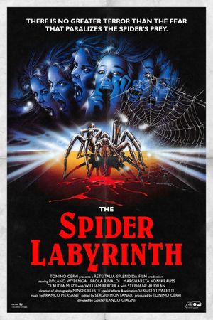 The Spider Labyrinth's poster