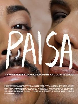 Paisa's poster