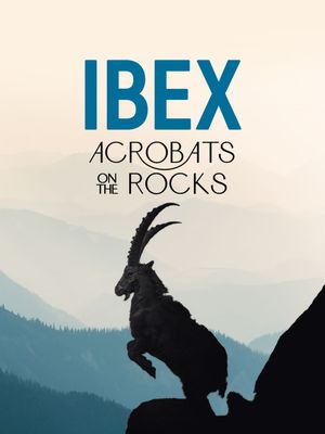 Ibex: Acrobats on the Rocks's poster image