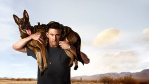 Dog's poster
