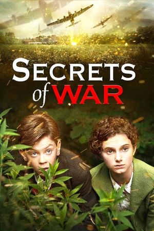 Secrets of War's poster