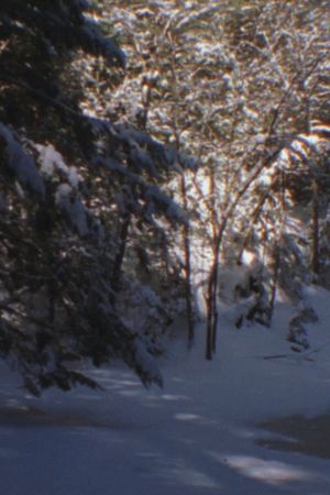 Winter Beyond Winter's poster