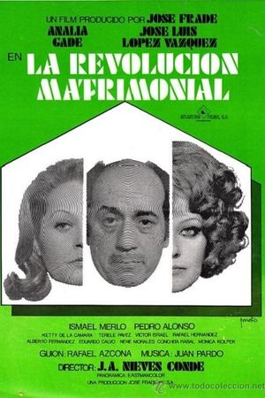 The Marriage Revolution's poster