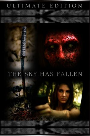 The Sky Has Fallen's poster