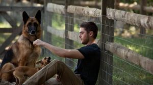 The Lucky One's poster