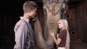 Water for Elephants's poster