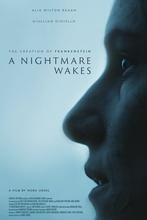 A Nightmare Wakes's poster