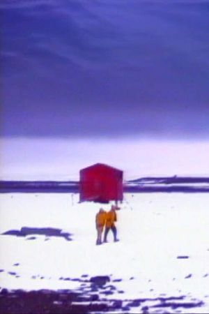 Winter Journey's poster