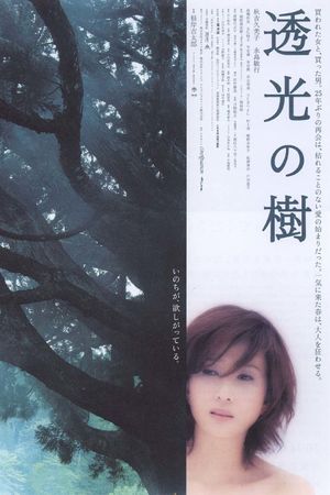 Toukou no ki's poster