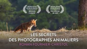 Les secrets des photographes animaliers's poster