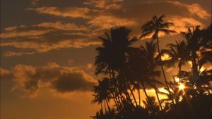 Living Landscapes: World's Most Beautiful Sunrises and Sunsets's poster
