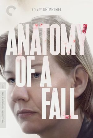 Anatomy of a Fall's poster