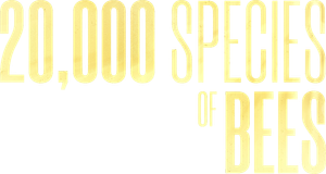 20,000 Species of Bees's poster
