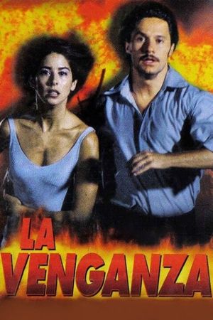 The Revenge's poster