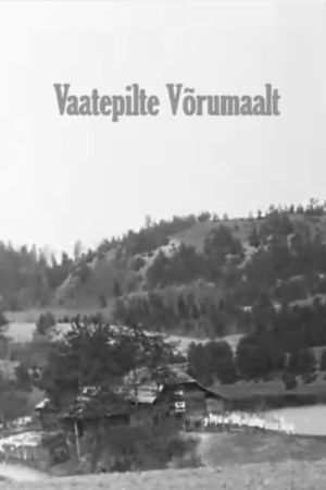 Scenes of Võru County's poster