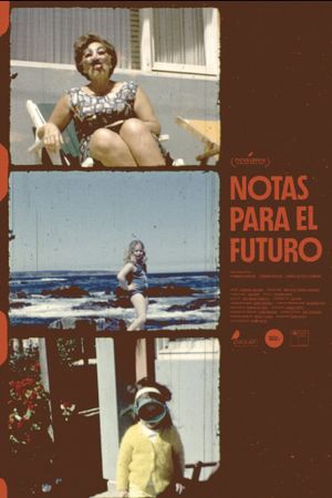 Notes for the future's poster image