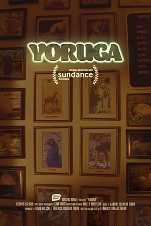 Yoruga's poster image