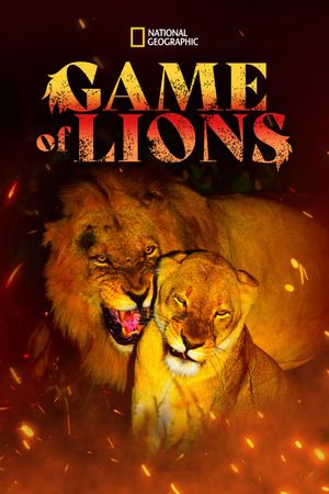 Game of Lions's poster