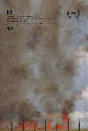 M's poster