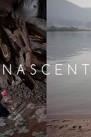 Nascent's poster