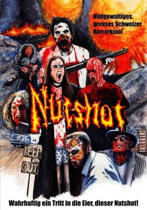 Nutshot's poster