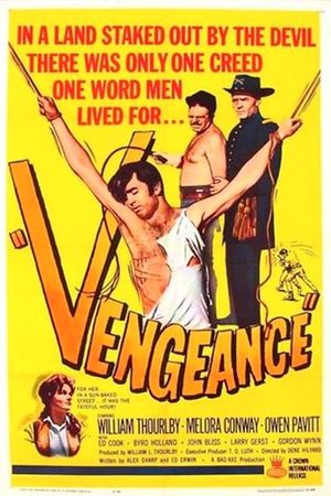 Vengeance's poster