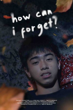 How Can I Forget?'s poster image