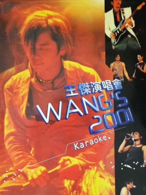 Wang Jie Concert 2001's poster