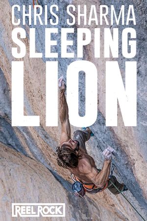 Sleeping Lion's poster