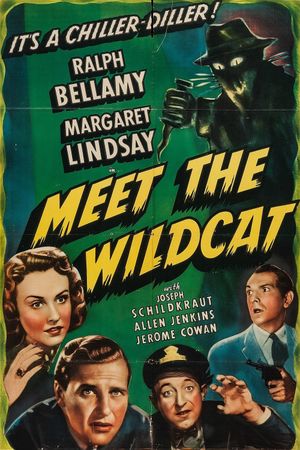 Meet the Wildcat's poster