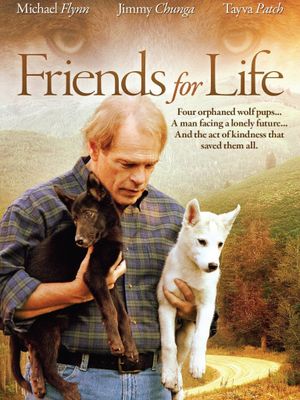 Friends for Life's poster