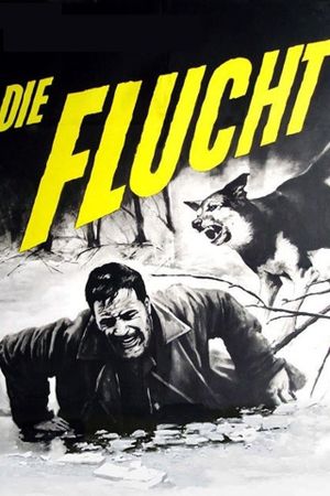 Man and Beast's poster