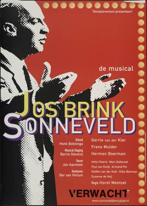 Sonneveld: Haal Het Doek Maar Op's poster