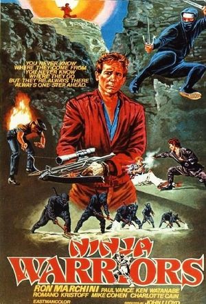 Ninja Warriors's poster