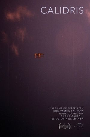 Calidris's poster